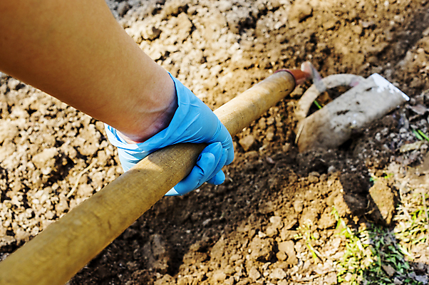 포토 JPG 해외이미지 손 밭 농업 채소 감자 사람없음 야외 컬러풀 공구 작업 작업도구 세련 해외202004 해외202105 해외포토 산업 컬러 신체부위 도구 파일형식