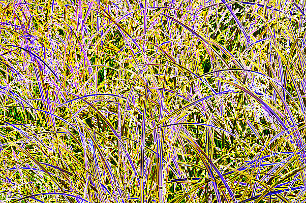 포토 JPG 해외이미지 클립아트 템플릿 디자인 행복 포스터 선 백그라운드 크리스마스 일러스트 모션 추상 휴가 미래 새로움 기념 미술 사람없음 그래픽 장식 빛 컬러풀 유행 우주 디지털 웹 흐름 추위 덮개 축하 신용카드 떨어짐 시원함 부드러움 구성 시너지 스타일 해외202004 해외202105 해외포토 기념일 감정 컬러 컨셉 무늬 인터넷 문화예술 금융 뚜껑 감각 파일형식