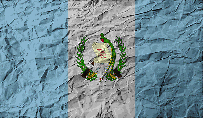 포토 JPG 해외이미지 아이콘 디자인 배너 백그라운드 사람없음 그래픽 가로 깃발 물개 심볼 사인 무역 신분 애국심 공화국 과테말라 엘리먼트 전국 정확 해외202004 해외202105 해외포토 나라 산업 컨셉 포유류 바다동물 중앙아메리카 파일형식