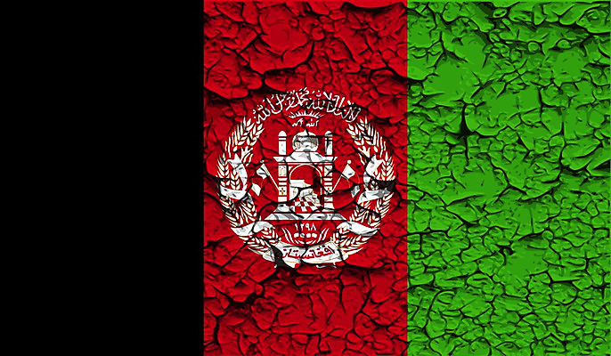 포토 JPG 해외이미지 모양 아이콘 디자인 배너 백그라운드 사람없음 그래픽 가로 깃발 물개 무역 신분 애국심 아프가니스탄 엘리먼트 전국 정확 해외202004 해외202105 해외포토 산업 컨셉 포유류 바다동물 파일형식