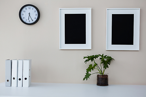 포토 JPG 해외이미지 사람없음 해외202105 해외포토 파일형식