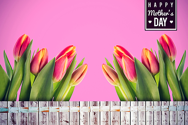 포토 JPG 해외이미지 디자인 꽃 행복 분홍색 백그라운드 말풍선 오렌지 일러스트 통신 응원 포옹 상상 성공 기술 사랑 사람없음 목재 컴퓨터그래픽 그래픽 빨간색 초록색 컴퓨터 노란색 디지털 튤립 기록 잡기 판넬 메시지 널 흰배경 문학 엔진 정비공 영웅 시들음 공학 슈퍼히어로 의사소통 인터페이스 카피스페이스 어머니의날 유행어 해외202105 해외포토 나무 식물 교육 기념일 감정 컬러 컨셉 과일 재료 안기 모션 전자제품 유행 공백 흰색 기술자 미국문화 파일형식