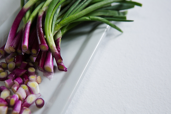 포토 JPG 해외이미지 사람없음 해외202105 해외포토 파일형식