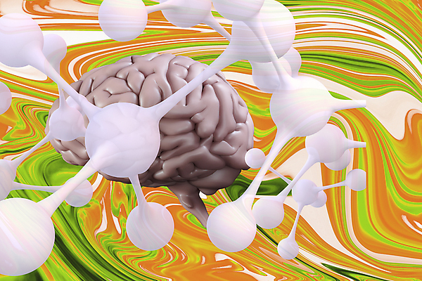 포토 JPG 해외이미지 사람없음 해외202105 해외포토 파일형식