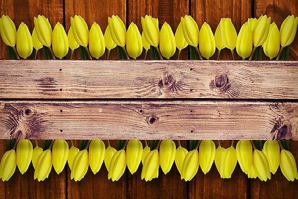 포토 JPG 해외이미지 식물 직업 응시 꽃잎 꽃 행복 줄기 백그라운드 잎 오렌지 텍스트 응원 상상 자연 성공 바닥 아이디어 서기 사람없음 목재 컴퓨터그래픽 빨간색 초록색 단어 갈색 노란색 디지털 봄 튤립 벚꽃 신선 자신감 개화 그룹 널 엉덩이 박수 순수 내추럴 감탄 구두점 기르기 슬로건 스타일 카피스페이스 파케트 유행어 해외202105 해외포토 나무 문자 시선 계절 감정 컬러 컨셉 과일 재료 모션 손짓 신체부위 그래픽 유행 공백 생태계 구두상점 돌봄 파일형식