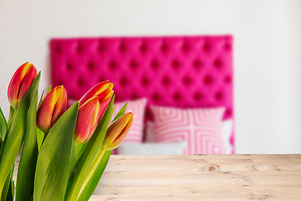 포토 JPG 해외이미지 꽃 행복 꽃다발 말풍선 쿠션 잎 오렌지 일러스트 전구 통신 베개 응원 포옹 상상 성공 엄마 발렌타인데이 사탕 선물 사람없음 목재 컴퓨터그래픽 그래픽 빨간색 상자 노란색 디지털 초콜릿 침실 이불 튤립 침대 기록 잡기 가시 메시지 문학 엔진 정비공 영웅 공학 슈퍼히어로 의사소통 카피스페이스 파케트 유행어 해외202105 해외포토 나무 식물 교육 감정 컬러 가구 컨셉 과일 재료 가족 침구 안기 모션 데이이벤트 디저트 유행 공백 기술자 파일형식