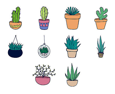 포토 JPG 해외이미지 사람없음 해외202105 해외포토 파일형식