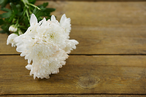 포토 JPG 해외이미지 전통 라이프스타일 기념일 꽃 기독교 종교 줄기 꽃다발 결혼 잎 꽃무늬 아이디어 발렌타인데이 창조 선물 사랑 사람없음 목재 스크린 축제 도전 흰색 축하 인사 신선 고급 우아함 널 연결 다발 스마트 향기 돌봄 제안 해외202105 해외포토 나무 식물 감정 컬러 컨셉 무늬 재료 모션 데이이벤트 이벤트 생활 예절 냄새 파일형식
