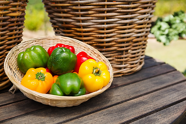 포토 JPG 해외이미지 사람없음 해외202105 해외포토 파일형식