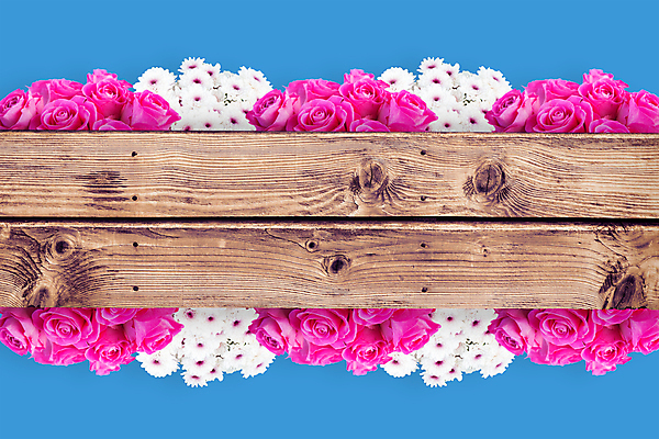 포토 JPG 해외이미지 직업 응시 꽃 행복 분홍색 백그라운드 오렌지 일러스트 텍스트 관계 응원 상상 벽지 성공 함께함 서기 사람없음 목재 컴퓨터그래픽 그래픽 빨간색 파란색 단어 갈색 노란색 디지털 우정 기쁨 기록 자신감 그룹 널 망토 엉덩이 박수 즐거움 만족 영웅 감탄 구두점 기르기 슈퍼히어로 심각 스타일 카피스페이스 해외202105 해외포토 나무 식물 문자 시선 감정 컬러 컨셉 과일 재료 모션 손짓 신체부위 친구 공백 구두상점 돌봄 파일형식