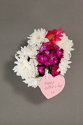 포토 JPG 해외이미지 전통 라이프스타일 계절 꽃잎 꽃 텍스트 통신 회색배경 엄마 휴가 아이디어 건강 창조 선물 사랑 이벤트 사람없음 장식 꼬리표 라벨 축제 희망 놀람 도전 하트 축하 인사 신선 신용카드 메시지 유혹 다발 스마트 기회 잔치 소원 돌봄 카피스페이스 어머니의날 해외202105 해외포토 모양 식물 기념일 감정 백그라운드 컨셉 가족 모션 프레임 표정 생활 금융 공백 회색 예절 미국문화 파일형식