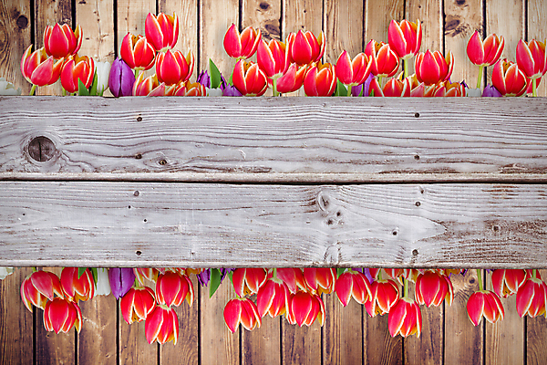 포토 JPG 해외이미지 직업 응시 꽃 행복 줄기 백그라운드 잎 오렌지 일러스트 텍스트 응원 상상 성공 바닥 아이디어 서기 사람없음 목재 컴퓨터그래픽 그래픽 빨간색 초록색 단어 울타리 갈색 노란색 디지털 봄 자신감 그룹 널 낟알 엉덩이 박수 흰배경 질감 펜싱 감탄 구두점 기르기 슬로건 스타일 카피스페이스 유행어 해외202105 해외포토 나무 식물 문자 시선 계절 감정 스포츠 컬러 컨셉 과일 재료 모션 손짓 신체부위 담장 유행 공백 흰색 구두상점 돌봄 파일형식