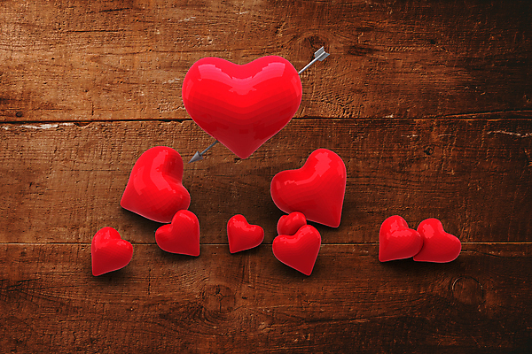 포토 JPG 해외이미지 화살 사랑 사람없음 하트 많음 나무배경 해외202105 해외포토 모양 감정 백그라운드 컨셉 파일형식