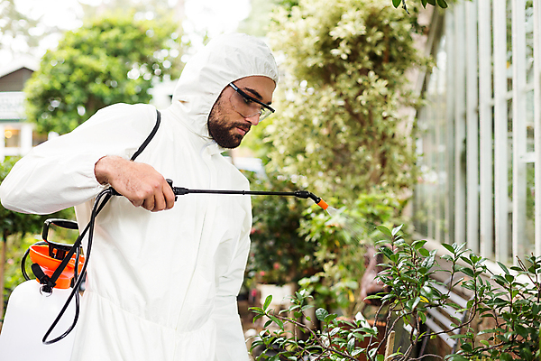 포토 JPG 해외이미지 식물 백인 직업 남자 과학 농업 청소년 자연 서기 안전 20대 사람없음 야외 스터디 환경 정원 장비 작업 보호 생명공학 뿌리기 과학자 원예 생물학 스프레이 분무기 문제 농약 농약살포기 생태학 온실 제어 제초제 화학물질 해외202105 해외포토 서양인 교육 산업 컨셉 의학 모션 사람 청년 취미 학습 화학 생태계 학자 파일형식