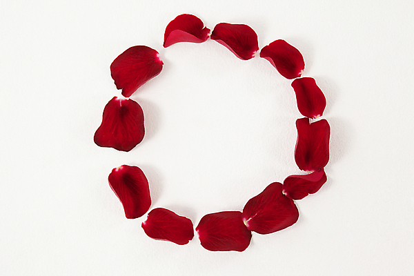 포토 JPG 해외이미지 사람없음 해외202105 해외포토 파일형식