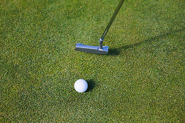 포토 JPG 해외이미지 스포츠 패턴 골프 공 골프장 자연 골프공 사람없음 야외 초록색 파란색 햇빛 맑음 골프채 흰색 질감 넣기 여의주 결석 해외202105 해외포토 컬러 무늬 스포츠시설 모션 날씨 골프용품 태양 구기 생태계 파일형식