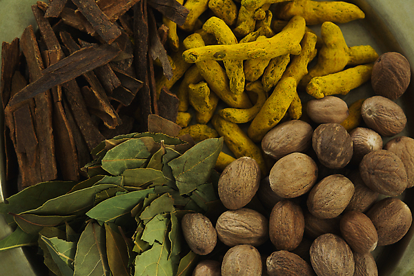 포토 JPG 해외이미지 사람없음 해외202105 해외포토 파일형식