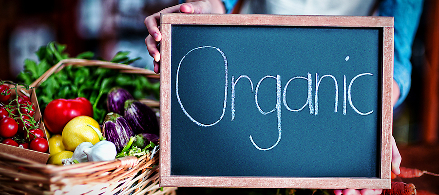 포토 JPG 해외이미지 한명 해외202105 해외포토 1 사람 파일형식