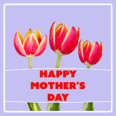 포토 JPG 해외이미지 직업 응시 꽃 행복 문장 백그라운드 생각 오렌지 일러스트 응원 벽지 성공 엄마 아이디어 3 가면 서기 정장 사람없음 빨간색 단어 빛 노란색 디지털 보라색 재킷 튤립 관찰 비즈니스맨 자신감 그룹 고급 우아함 망토 엉덩이 박수 스마트 집중 감탄 구두점 배려 스타일 카피스페이스 세련 유행어 해외202105 해외포토 식물 문자 시선 옷 남자 감정 컬러 컨셉 과일 비즈니스 가족 모션 손짓 신체부위 유행 공백 외투 직장인 구두상점 파일형식