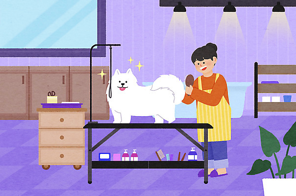 전신 PSD 한마리 여자 화분 반려견 일러스트 조명 한명 서기 들기 성인 머리빗 강아지 서랍장 반려 애견미용 애견미용사 성인여자한명만 국내일러스트 1 가구 모션 사람 반려동물 뷰티 미용용품 개 미용사 여자한명만 성인여자만 파일형식