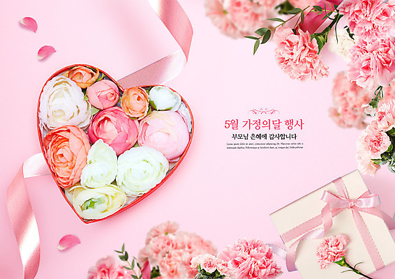 PSD 편집이미지 꽃잎 꽃 리본 분홍색 타이포그라피 사람없음 선물상자 어버이날 5월 카네이션 감사 5월행사 가정의달 하트상자 이미지편집 식물 문자 기념일 감정 컬러 선물 이벤트 상자 날짜 파일형식