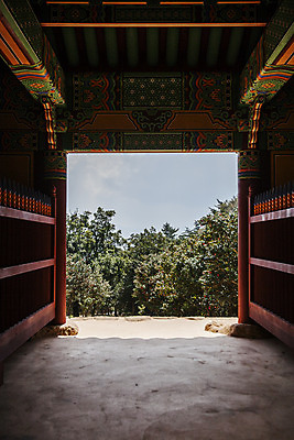 포토 JPG 주간 나무 한국전통 풍경 사람없음 야외 사찰 전라남도 백련사 강진 국내포토 자연요소 식물 전통 종교건축 한국 전라도 파일형식
