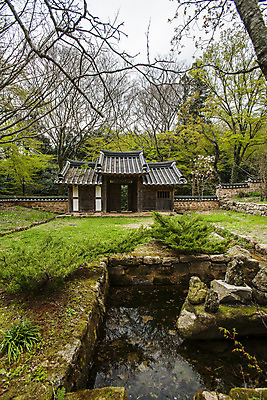 포토 JPG 주간 나무 한국전통 풍경 사람없음 야외 연못 전라남도 대문 강진 별서정원 국내포토 자연요소 식물 전통 한국 문 정원 전라도 파일형식
