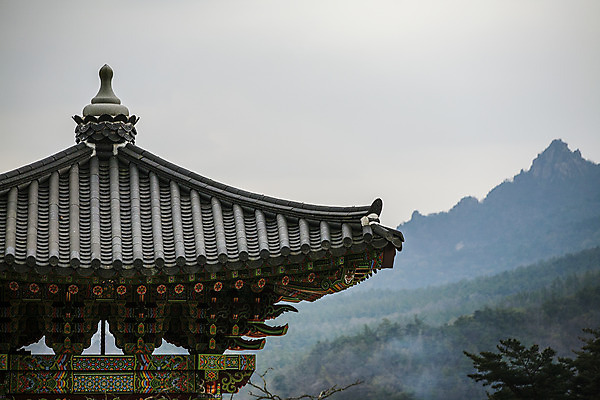 포토 JPG 주간 한국전통 풍경 사람없음 야외 안개 사찰 전라남도 기와지붕 백련사 월출산 강진 국내포토 자연요소 전통 종교건축 지붕 날씨 산 한국 기와 전라도 파일형식