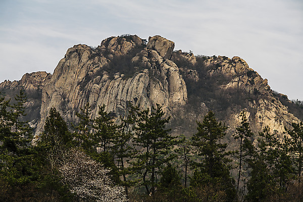 포토 JPG 주간 나무 국립공원 풍경 사람없음 야외 전라남도 월출산 강진 국내포토 자연요소 식물 공원 산 전라도 파일형식