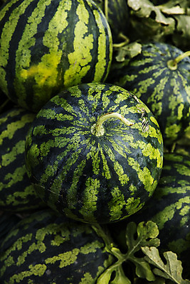 포토 JPG 주간 여름음식 수박 사람없음 야외 경상북도 특산물 고령 제철과일 과채 국내포토 자연요소 음식 채소 과일 경상도 제철 파일형식 여름_계절