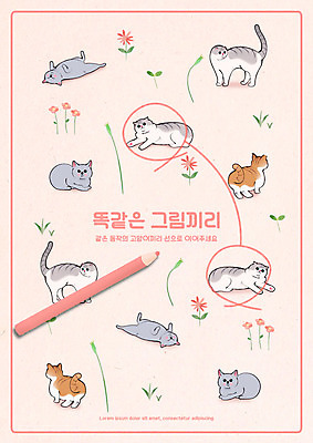 PSD 편집이미지 교육 분홍색 여러마리 색연필 사람없음 고양이 그림 교구 유아교구 러시안블루 반려 스코티시폴드 에듀 에듀케이션 먼치킨 스쿨팩 같은그림찾기 이미지편집 컬러 다수 포유류 놀이 학용품 반려동물 유아교재 파일형식