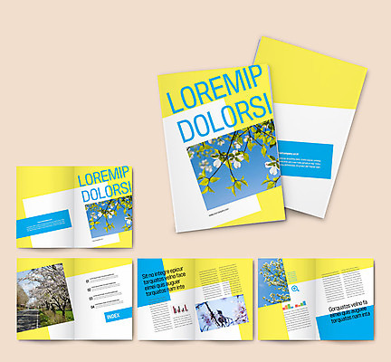 템플릿 한마리 ZIP 리플렛 풍경 팜플렛 사람없음 노란색 봄 벚꽃 나뭇가지 참새 꽃축제 봄여행 인디자인 INDD 이미지템플릿 나무 1 계절 꽃 컬러 여행 조류 축제 파일형식