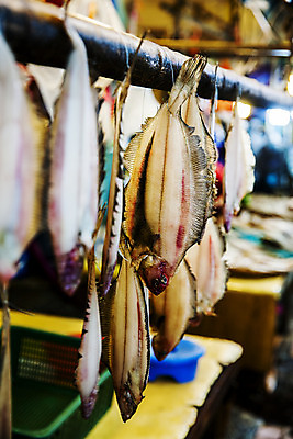 포토 JPG 매달리기 어류 사람없음 아웃포커스 경상북도 수산시장 건어물 포항 국내포토 모션 촬영기법 수중동물 시장 경상도 파일형식