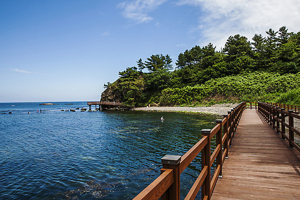 포토 JPG 주간 나무 구름 길 바다 하늘 해변 사람없음 야외 경상북도 동해 나무다리 포항 국내포토 자연요소 식물 한국 다리_건축물 경상도 파일형식