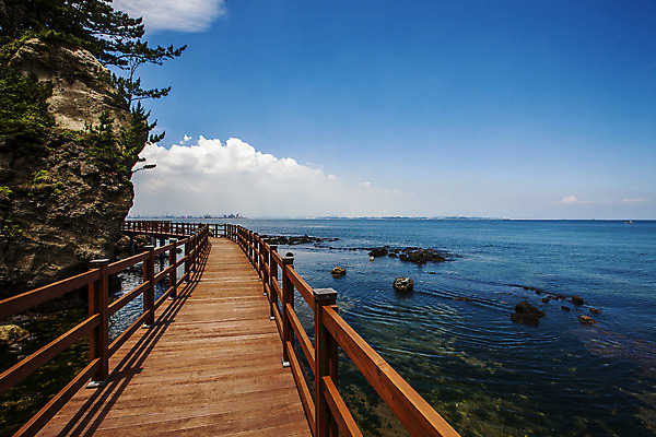 포토 JPG 주간 구름 길 바다 하늘 해변 사람없음 야외 바위 경상북도 나무울타리 포항 국내포토 자연요소 울타리 돌_바위 경상도 파일형식