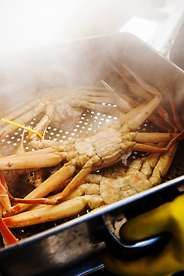 포토 JPG 사람없음 수증기 경상북도 특산물 찜기 대게 구룡포 대게찜 포항 국내포토 주방용품 게 경상도 파일형식