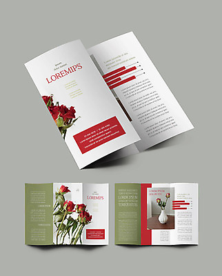 템플릿 표지디자인 표지 ZIP 내지 화분 리플렛 3단접지 팜플렛 사람없음 인테리어 장미 흰색 드라이플라워 이미지템플릿 AI파일 디자인 꽃 컬러 파일형식 벡터