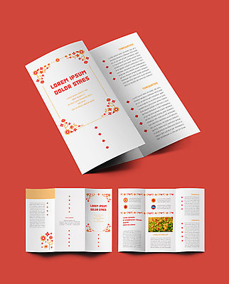 템플릿 표지디자인 표지 꽃 ZIP 내지 리플렛 3단접지 팜플렛 사람없음 흰색 코스모스 꽃프레임 이미지템플릿 AI파일 식물 컬러 프레임 파일형식 벡터