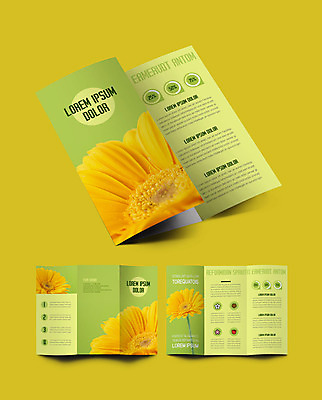 템플릿 표지디자인 표지 꽃 ZIP 내지 리플렛 3단접지 팜플렛 사람없음 연두색 정보 거베라 이미지템플릿 AI파일 식물 초록색 파일형식 벡터