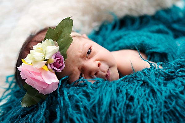 포토 JPG 해외이미지 백인 응시 여자 꽃 엎드리기 한명 상반신 아웃포커스 아기 신생아 담요 여자아기한명만 해외포토 서양인 식물 1 시선 모션 촬영기법 사람 여자한명만 여자아기만 파일형식