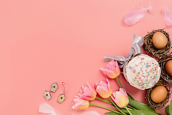 포토 JPG 해외이미지 부활절 실내 사람없음 케이크 튤립 깃털 부활절계란 분홍색배경 해외포토 기념일 꽃 분홍색 백그라운드 디저트 내부 계란 파일형식