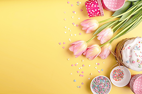 포토 JPG 해외이미지 실내 사람없음 하이앵글 케이크 튤립 하트 종이컵 노란배경 스프링클 해외포토 모양 꽃 뷰포인트 백그라운드 디저트 내부 장식 컵 노란색 일회용 파일형식