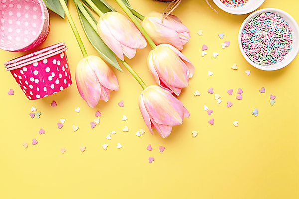 포토 JPG 해외이미지 실내 사람없음 케이크 튤립 하트 종이컵 노란배경 스프링클 해외포토 모양 꽃 백그라운드 디저트 내부 장식 컵 노란색 일회용 파일형식