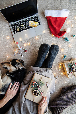 포토 JPG 해외이미지 한마리 손 반려견 크리스마스 산타모자 크리스마스용품 바닥 함께함 실내 크리스마스선물 신체부위 선물상자 노트북 반려동물 쇼핑 쇼핑카 신용카드 강아지 담요 건과일 지팡이사탕 쓰다듬기 해외포토 동물 모자_잡화 1 기념일 컨셉 과일 모션 건조 사탕 선물 사람 내부 금융 전자제품 상자 카트 개 용품 파일형식