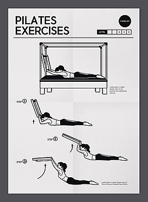 전신 여자 일러스트 여러명 성인 타이포그라피 눕기 건강관리 잡기 팔운동 순서 필라테스 성인여자만 들어올리기 기구필라테스 코어운동 필라테스기구 국내일러스트 AI파일 문자 다수 모션 건강 관리 사람 운동 운동기구 여자만 성인만 파일형식 벡터