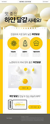 PSD 템플릿 ZIP 웹템플릿 사람없음 쇼핑 노란색 판매 계란 삶은계란 뉴스레터 할인쿠폰 이미지템플릿 컬러 알 계란요리 쿠폰 파일형식