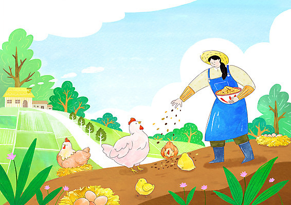 전신 PSD 나무 여자 여러마리 일러스트 병아리 작업복 장화 한명 들기 청년 성인 건물 농장 계란 앞치마 가축 닭 둥지 모이 뿌리기 밀짚모자 귀농 모이주기 양계장 성인여자한명만 청년농부 국내일러스트 식물 동물 모자_잡화 1 건축물 옷 다수 신발 농업 모션 조류 사람 알 농부 먹이 여자한명만 성인여자만 파일형식