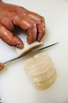 포토 JPG 손 어패류 실내 신체부위 자르기 전라남도 재료손질 흰배경 특산물 관자 제철 키조개 장흥 제철음식 국내포토 동물 음식 백그라운드 모션 조개 사람 내부 흰색 전라도 경상북도 손질 파일형식