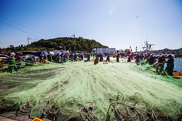 포토 JPG 주간 전신 하늘 사람 여러명 야외 항구 잡기 그물 전라남도 어촌 목포 국내포토 자연요소 다수 교통시설 모션 시골 전라도 파일형식