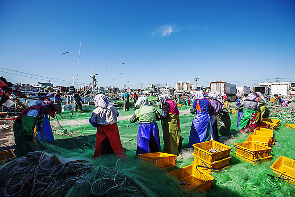 포토 JPG 주간 전신 하늘 사람 여러명 야외 뒷모습 바구니 항구 작업 그물 전라남도 어촌 목포 국내포토 자연요소 뷰포인트 다수 교통시설 시골 전라도 파일형식